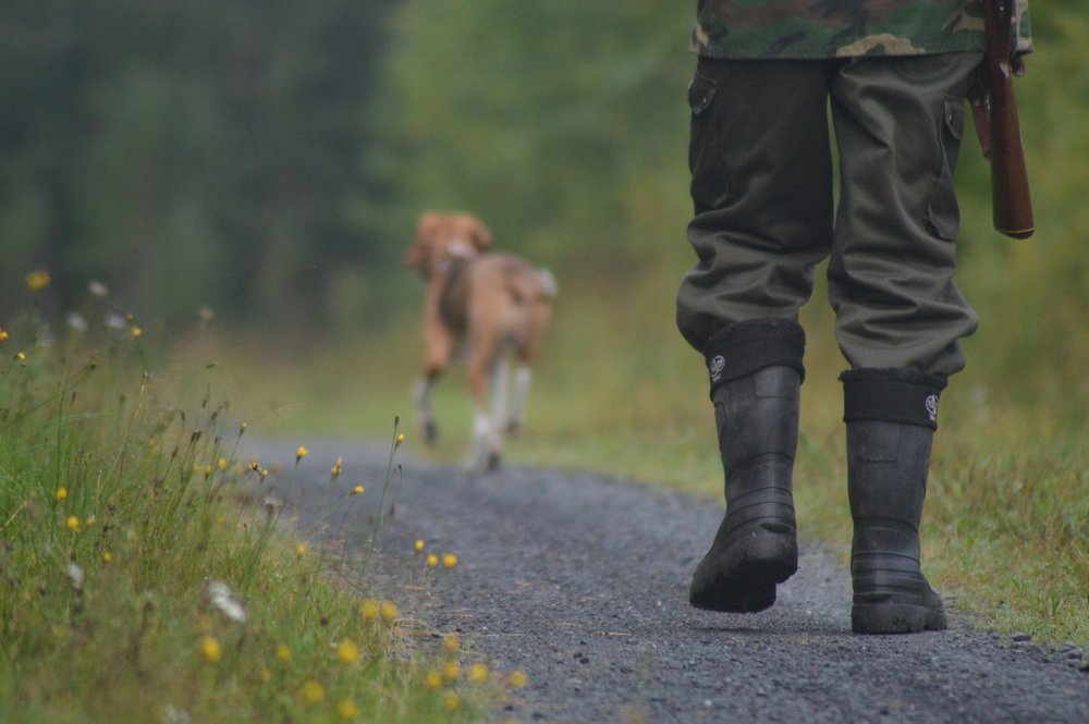 Tips om du vill bli jägare